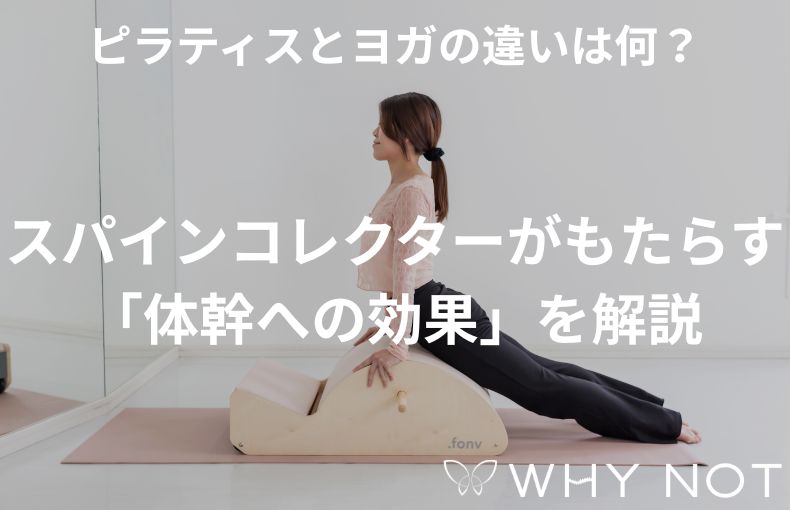 ピラティスとヨガの違いは何？スパインコレクターがもたらす「体幹への効果」を解説