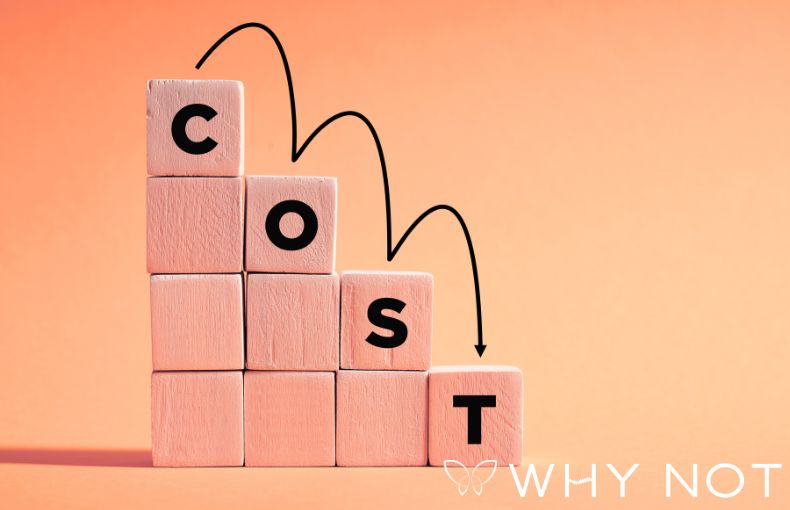 指導の質を落とさずコストを抑える仕組み