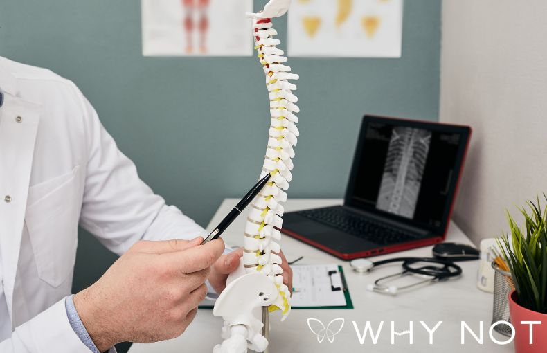 せぼねの専門医が監修。医学的エビデンスで導く「疲れを溜めない身体」作り